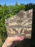 Picture Jasper slab