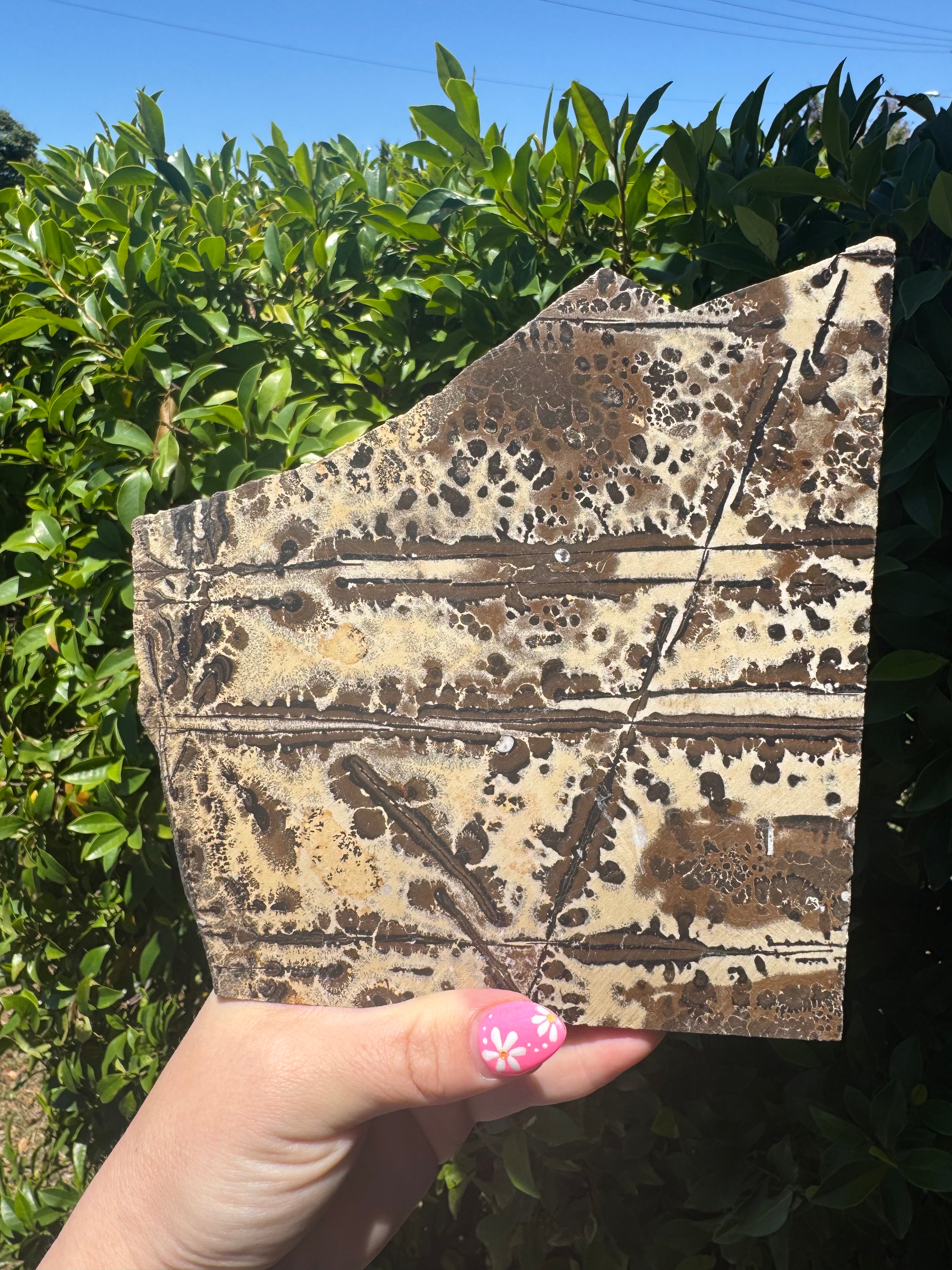 Picture Jasper slab